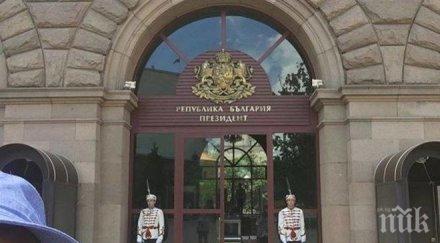 екшън софия райън рейнолдс търси убиец парламента