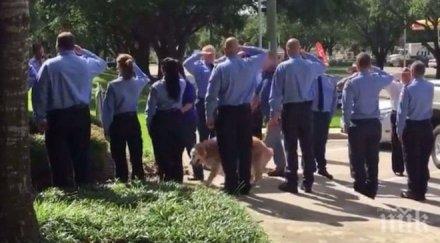 приспаха последното оцеляло куче търсило хора руините кулите близнаци септември