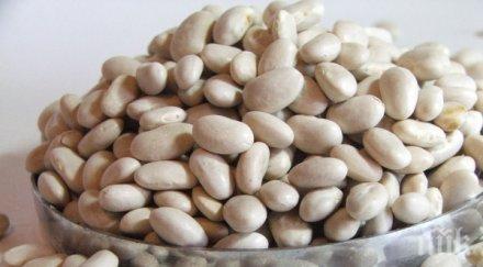 отглежданият боб скочи 278