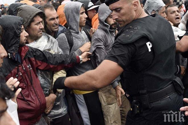 Толерантност?! 69 000 престъпления са извършени от мигранти за 3 месеца в Германия