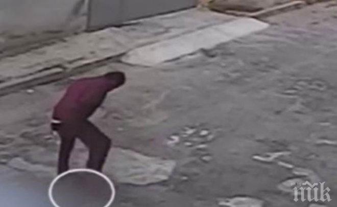 Изродът Иван, който стъпка главата на коте и го уби, ще лежи 6 месеца в затвора