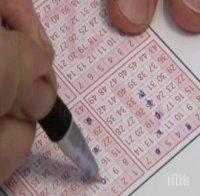 Обраха тотопункт в Плевен