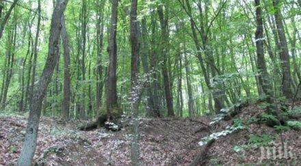 бакб първа награда своята категория конкурса зелените компания българия