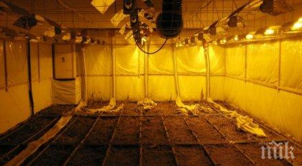 полицията гдбоп разбиха наркогрупа притежаваща хай тек лаборатория