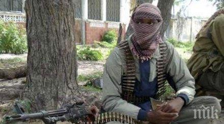 албания задръсти муджахидини