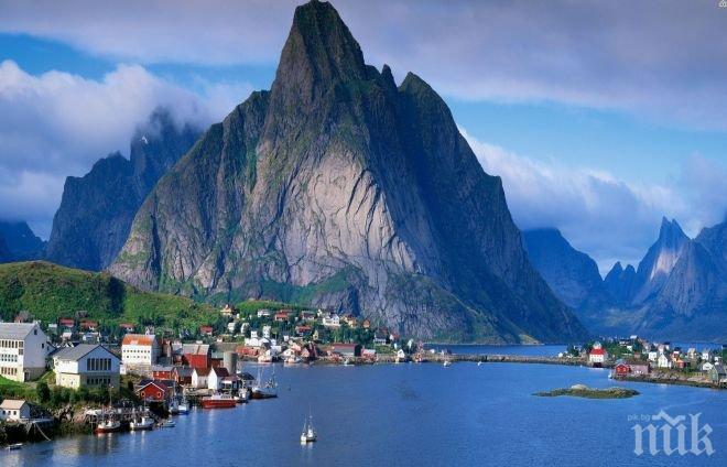 Норвегия стана първата държава, която забрани изсичането на дървета