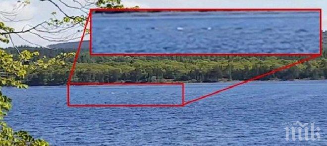 Сензация! Заснеха чудовището от Лох Нес (ВИДЕО)