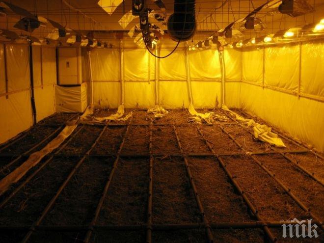 Полицията и ГДБОП разбиха наркогрупа, притежаваща хай-тек лаборатория 