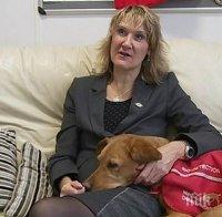 Куче излекува стопанката си от рак 