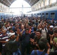 Гърция започна програма за пререгистриране на десетки хиляди мигранти и бежанци