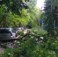 Силна буря с дъжд и вятър във Варна