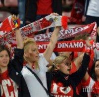 Разврат заради Европейското! Съпруги масово слагат рога на феновете
