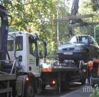 Паяк прибра 19 коли в Борисовата градина