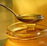 Природата си казва думата: Пчелари вещаят дефицит на мед заради лошото време