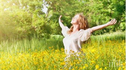 фестивал здравето тялото дом грижим