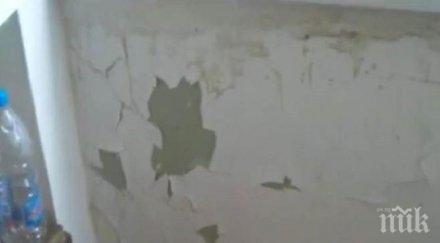 падащи мазилки потресаваща хигиена една големите болници нас