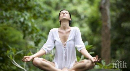 пазете холандка дере нашенки 600 лева нов женски култ