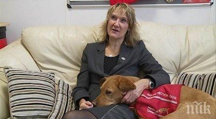 куче излекува стопанката рак