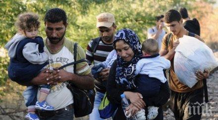 засилва миграционният натиск германия