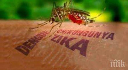 учени българия риск разпространение вируса зика