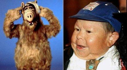 алф бори живота