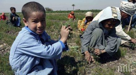 168 милиона деца света работят вместо учат