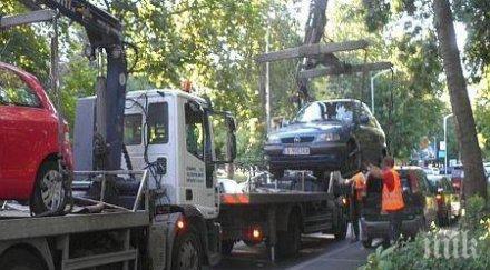 паяк прибра коли борисовата градина