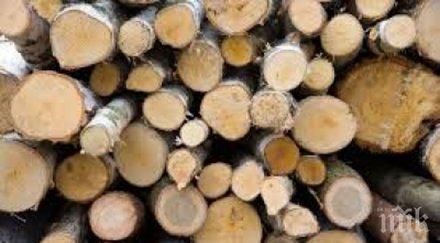 горски инспектори задържаха бус незаконна дървесина