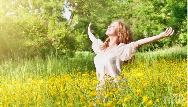 Фестивал на Здравето: Тялото е дом, за който да се грижим