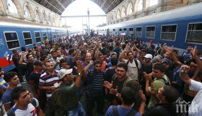 Гърция започна програма за пререгистриране на десетки хиляди мигранти и бежанци