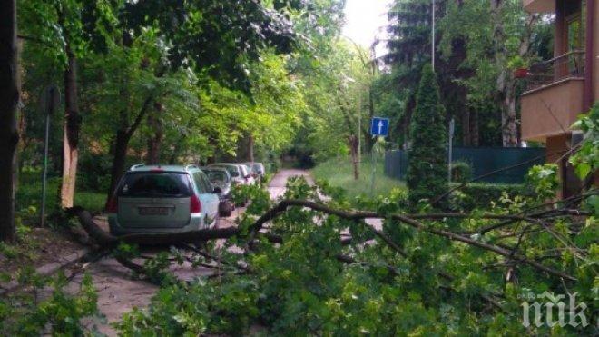 Силна буря с дъжд и вятър във Варна