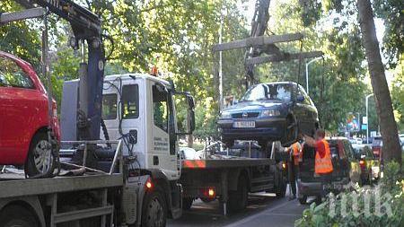 Паяк прибра 19 коли в Борисовата градина