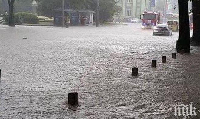 Затвориха път заради потопа край Свищов 