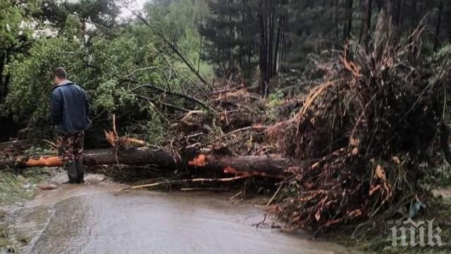 Бедствено положение заради пороите в карловско село