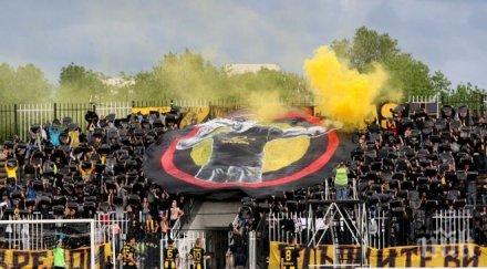 бразилски канарчета пърхат коматево