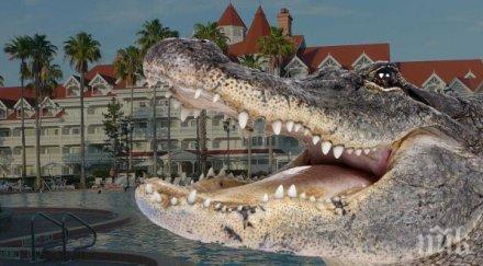 откриха тялото годишното дете отвлечено алигатор дисниуърлд