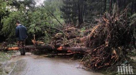 военни поставиха временен мост село дъбене