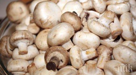 откриха атропин кръвта натровеното семейство оплакало купешки гъби