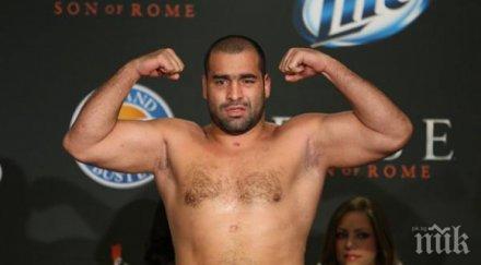 багата готов съм пухкавия мечок видео