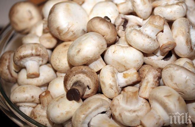 Откриха атропин в кръвта на натровеното семейство, оплакало се от купешки гъби
