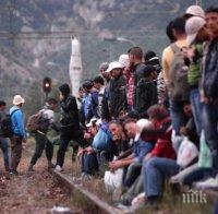 Австрия ще помага на Унгария с охраната на сръбската граница 