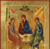 На Свети дух църквата прославя Светата Животворна Троица