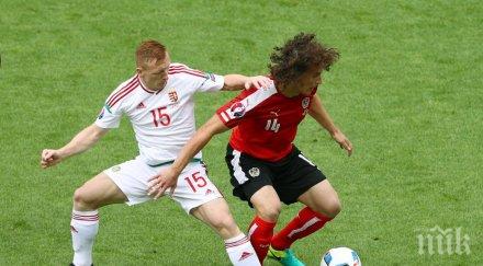 съставите исландия унгария