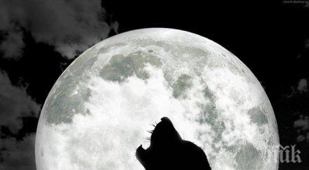 пълнолуние донесе