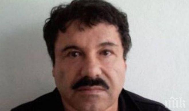 Седем обезглавени трупа са били открити на територията на наркобарона Ел Чапо

