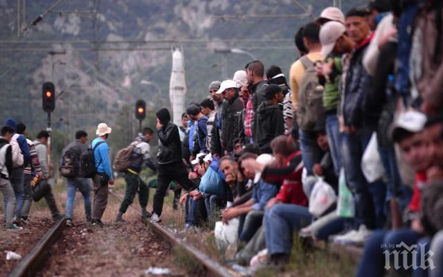 Австрия ще помага на Унгария с охраната на сръбската граница 