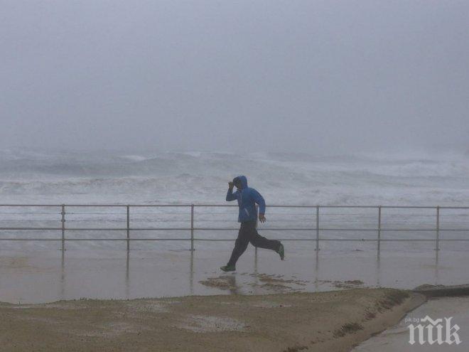 Буря е оставила в Литва без електричество 23 хиляди потребители