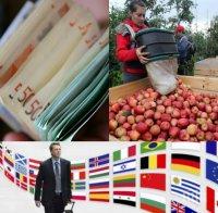 Българи за износ! Хиляди нашенци търсят работа в Европа! Вижте къде печелят най-добре