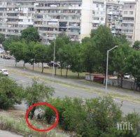 Паника в Бургас! Бик обикаля Паника в Бургас! Бик обикаля