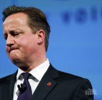 Камерън се помоли на британците да не напускат ЕС